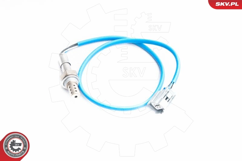 Oxygen Sensor